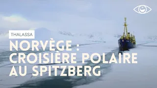 Norvège : croisière polaire au Spitzberg - Thalassa