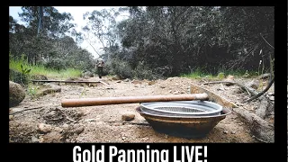 Panning GOLD off the Flood Plain!