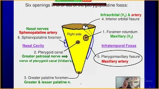 perineural tumor spread in ped head and neck cancer   FOR ALEX