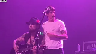 Anthony Kiedis, Dave Navarro & Friends - Walk On The Wild Side (Lou Reed Cover) (December 20, 2021)