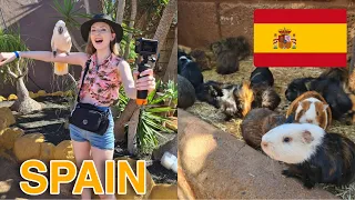 We visited Monkey Park! Tenerife, Spain 🇪🇸