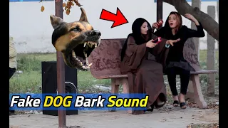 Fake Dog Barking Sound | LahoriFied