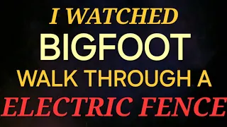 I WATCHED BIGFOOT WALK THROUGH AN ELECTRIC FENCE