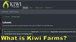 What is Kiwi Farms