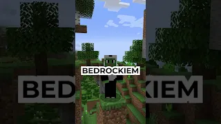 3 RÓŻNICE MIĘDZY MINECRAFT JAVA I BEDROCK CZEŚĆ 2