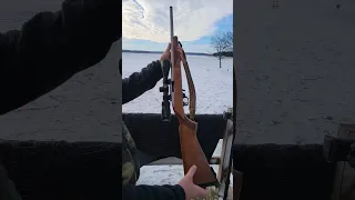 Ruger 10/22 in freezing temperatures