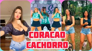 Coração Cachorro TikTok Ávine Vinny Brasil AuhLate, coração cachorro, late, coração