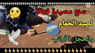 صنع مصيدة فعالة لصيد الحمام والحجل  How to make an effective trap for hunting pigeons, partridges
