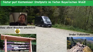 Allein im Bayerischen Wald mit dem Clever Wohnmobil Cleverly 🙉 Top Stellplatz, Wanderung Falkenstein