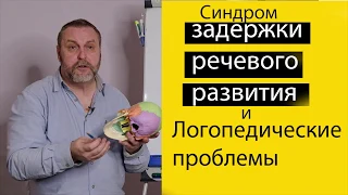 Задержка речевого развития ребенка. Из-за чего возникает? Как лечить?