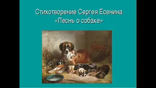 Песнь о собаке