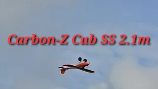 E-Flite Carbon-Z Cub SS 2.1m