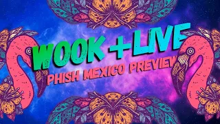wook+live | PHISH Mexico