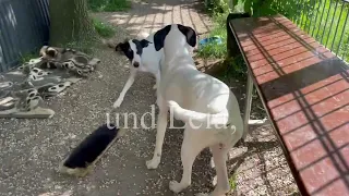 Zwei Bodeguera-Mädchen auf Familiensuche