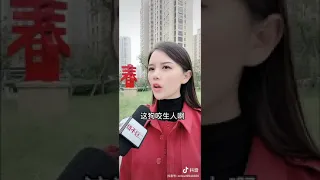 人和🐶有什么区别