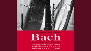 Oboe Sonata in G Minor, BWV 1020: I. Allegro (Attrib. To C.P.E. Bach, H. 542.5)