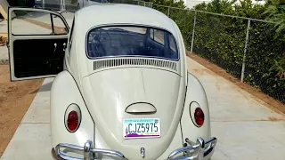 65 sunroof VW Bug test drive and walk around