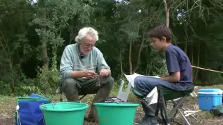 Pêche de l'anguille à la vermée