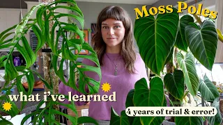 🌿 my moss pole journey 🌿 past mistakes, fave products, + care