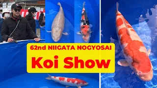 CÁ KOI ĐẸP tại 62nd NIIGATA NOGYOSAI KOI SHOW | CÁ KOI KHỦNG dài hơn 1 mét trị giá VÀI TỈ ĐỒNG !!!