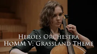 Heroes Orchestra - Grassland theme from HoMM V | 4K