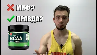 BCAA работает или нет? Полный разбор.