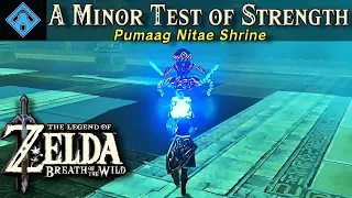 Pumaag Nitae Shrine | The Legend of Zelda, BOTW Shrine Quest Tutorial
