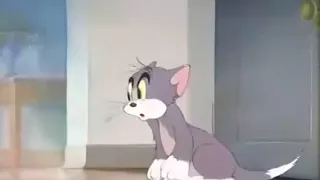 Tom and Jerry 4 Episode - Fraidy Cat