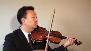 The Last of Us Theme - William Yun Violin