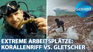 Korallenriff vs. Gletscher: Die extremsten Arbeitsplätze - Teil 2