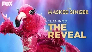 The Flamingo Is Revealed As Adrienne Bailon | Season 2 Ep. 13 | THE MASKED SINGER