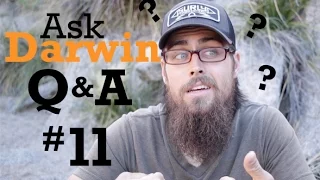 Ask Darwin Q&A #11 (Answers!)