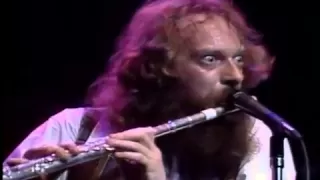 Jethro Tull - No Lullaby Flute solo (live at