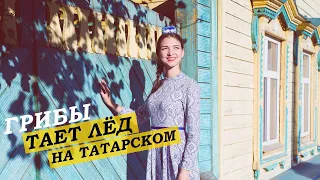 Грибы - Между нами тает лед / НА ТАТАРСКОМ / Cover by Аделя Ахметова