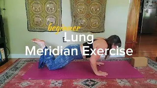 Beginner Lung Meridian Exercise