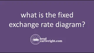 What The Fixed Exchange Rate System on a Diagram? | The Global Economy | IB Economics Exam Review