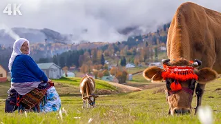 Grandma Lütfiye's Plateau Life-Being a Woman in the Turkish Mountains-| Documentary-4K