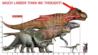 MEGA-SIZED T-REX (70% Larger than we previously thought!)