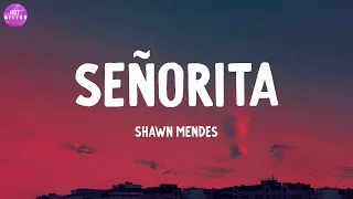Señorita - Shawn Mendes / Closer, Kill Bill,...(Mix)