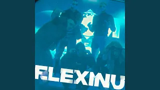 Flexinu