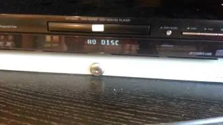 DVD player not working