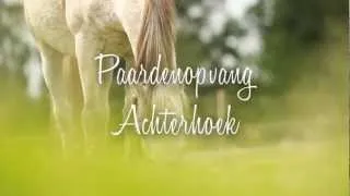 [DUTCH] Paardenopvang Achterhoek!