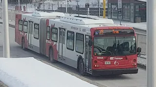 Buses in Ottawa, ON (Volume 6)