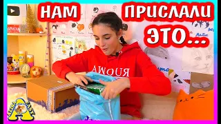 КАКИЕ ПОДАРКИ прислали ХОМЯЧКАМ? Чему РАД КОТ Вася? Распаковка ПОДАРКОВ / Alisa Easy Pets