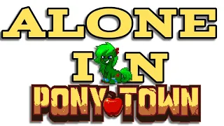 What To Do Alone In Pony Town