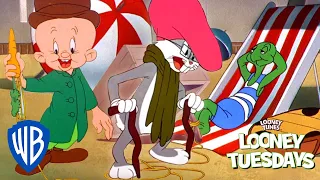 Looney Tunes | Your Fix of Sunshine and Madness | Looney Tunes | WB Kids