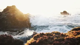 Meditation: Music video |Nature at the best |Drone shots