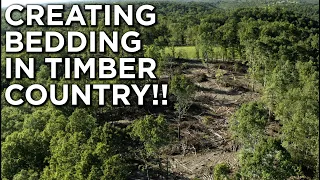 Turning Clear Cuts Into Bedding Areas!! | Wildlife Habitat Management