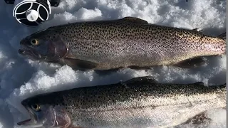 Echo Ice Fishing Big Rainbow Trout Catch and Cook