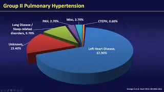 Group 2 Pulmonary Hypertension: Is it the era for hype or hope?